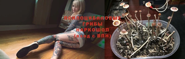 стаф Коряжма