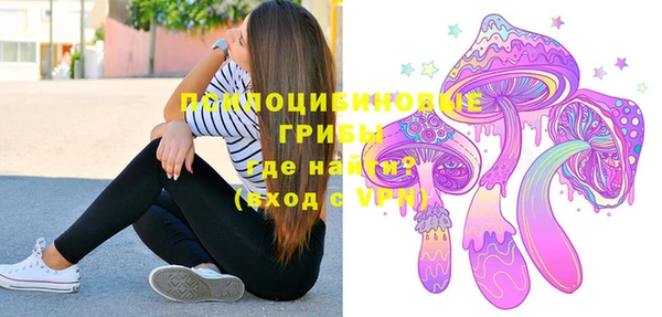 стаф Коряжма