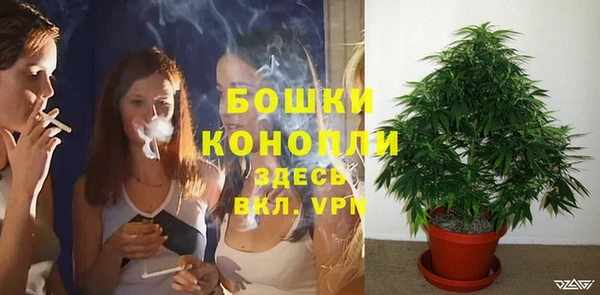 молекула духа Кодинск